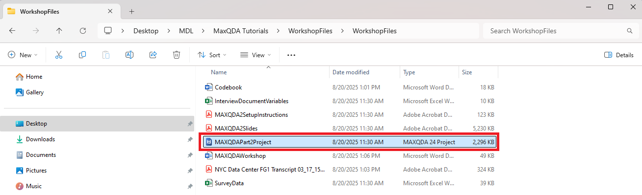 MAXQDAPart2Project.mx24 file highlighted