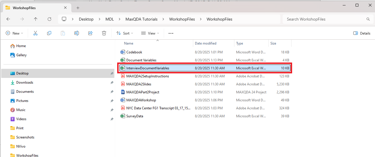 InterviewDocumentVariables.xlsx file highlighted