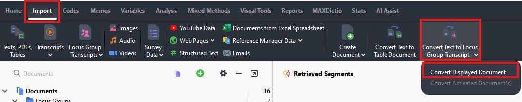 Import, Convert Text to Focus Group Transcript and Convert Displayed Document highlighted