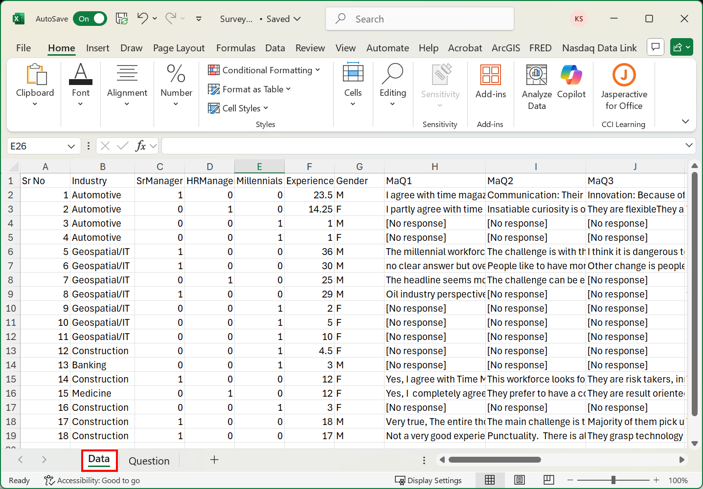 Excel spreadsheet showing the survey data sheet.