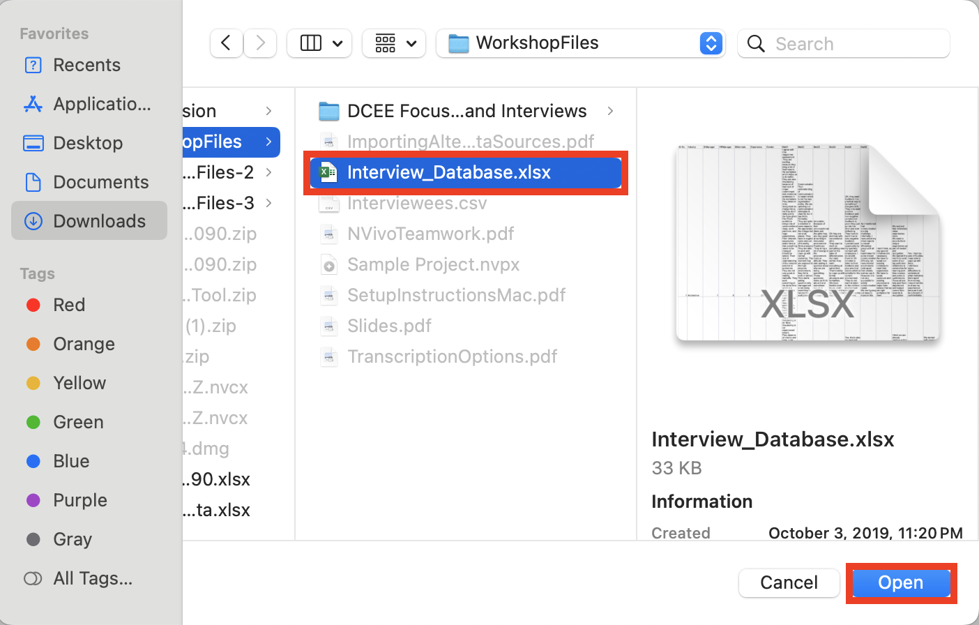 Import browser with the file "Interview_Database.xlsx" selected and the "Open" button highlighted. 