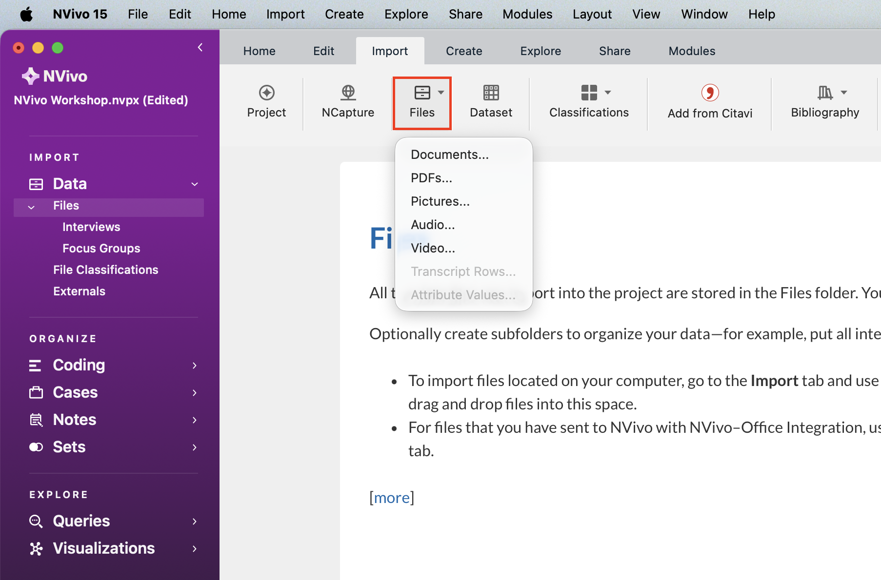 The import tab has been selected within NVivo, and the files tab has been selected from there.