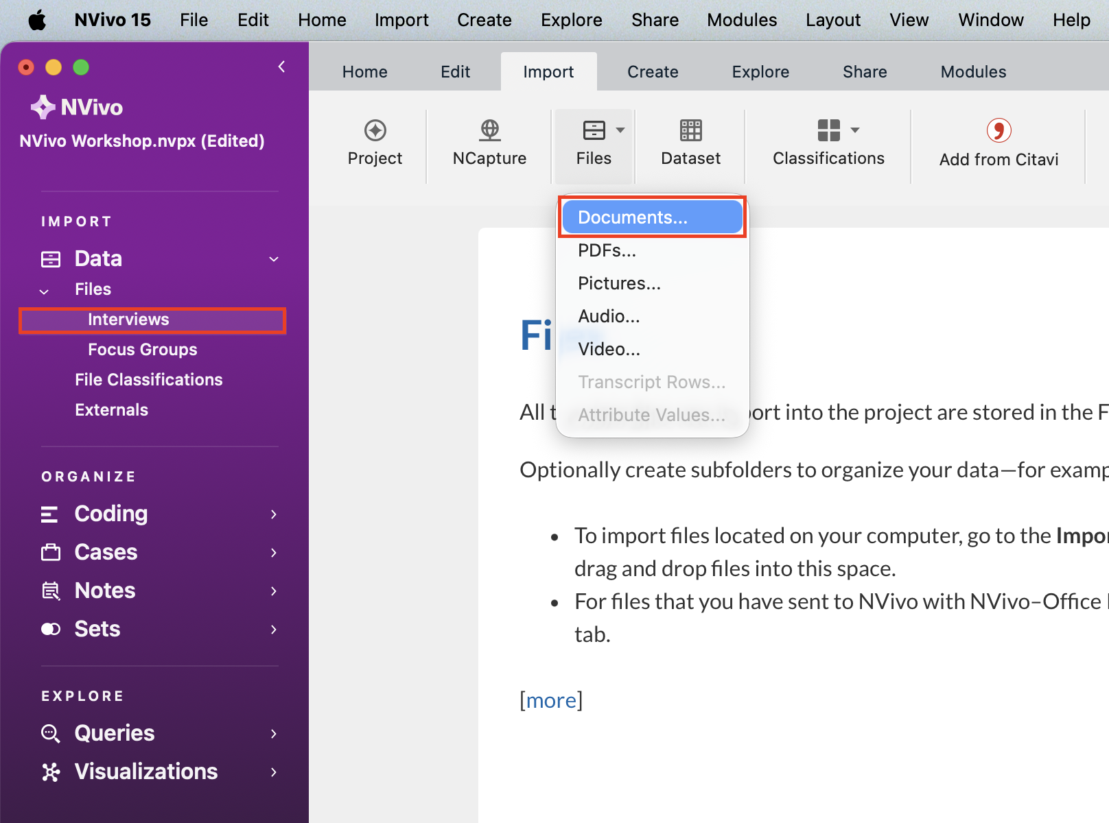 Under Import, Documents is selected. Make sure that the Interview file is selected as well.
