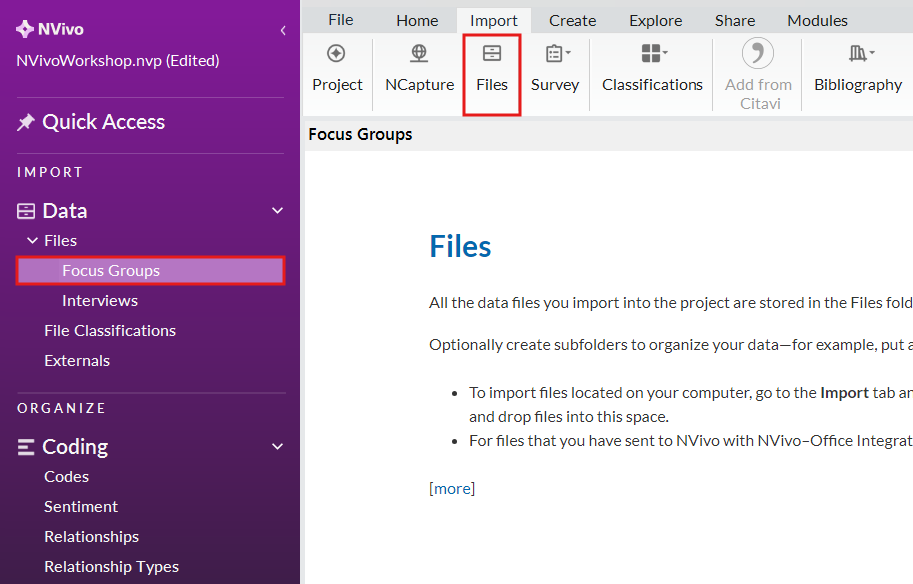 The Focus Groups folder in the left menu is selected and outlined. In the Import Ribbon, Files is outlined.
