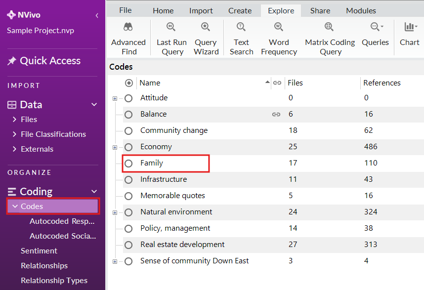 NVivo main interface with Codes option on the left highlighted.