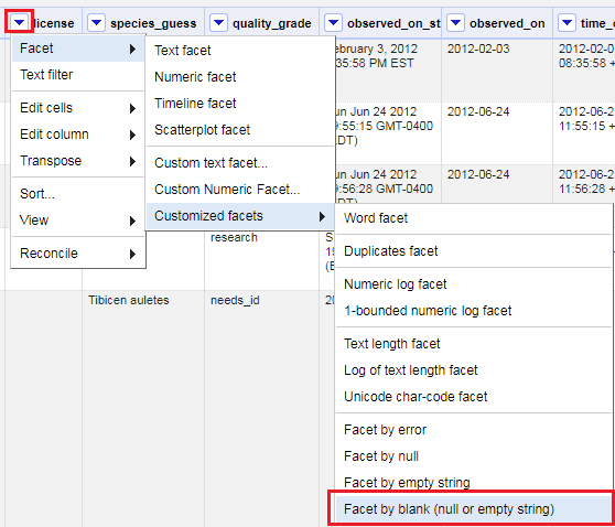 License drop down menu, with custom facet displayed