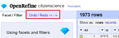 Location of the Undo / Redo tab