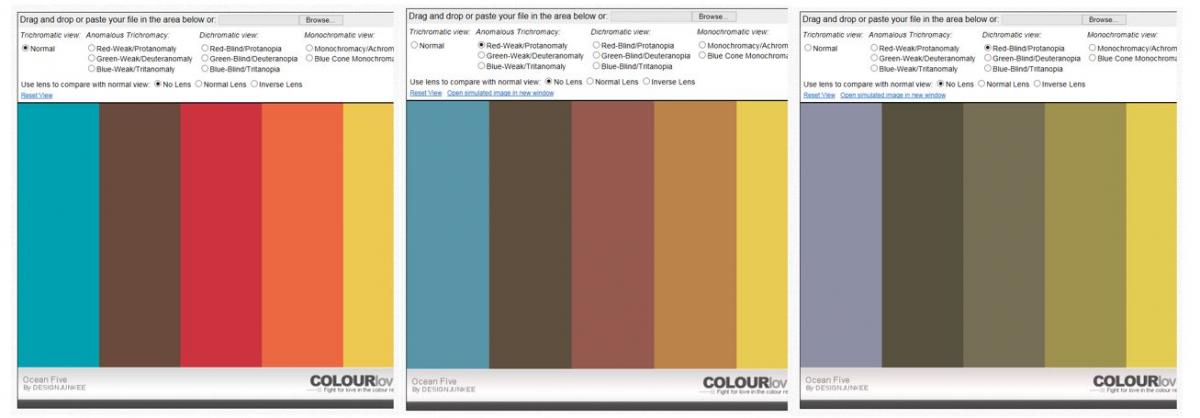 The palette as it would be perceived by people who see colour differently.