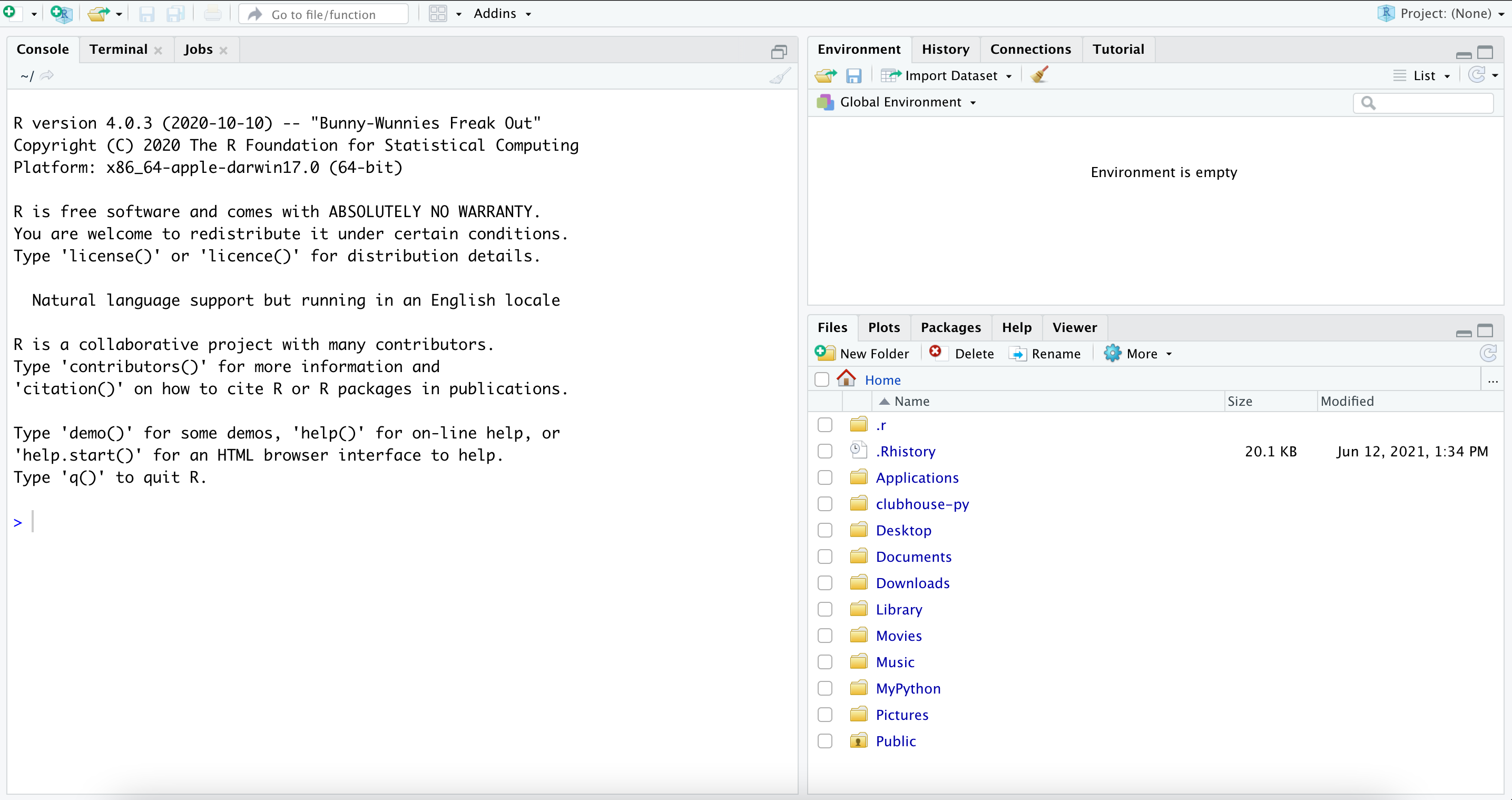 Getting Started with R and RStudio - 3 RStudio Interface Console