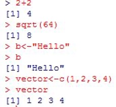 Getting Started with R and RStudio - 5 R calculations and assignment