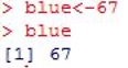 Getting Started with R and RStudio - 7 R "blue"