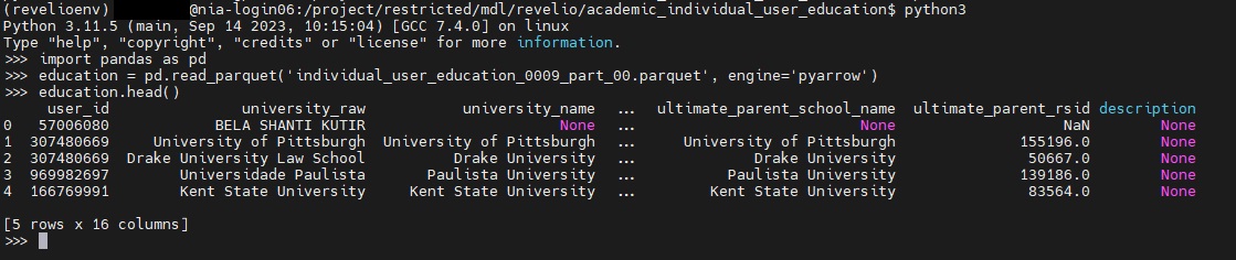 running python code in the cluster