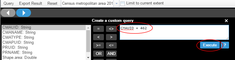Screenshot highlighting the custom query and the execute button.